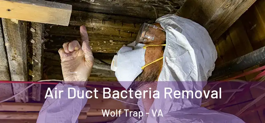 Air Duct Bacteria Removal Wolf Trap - VA