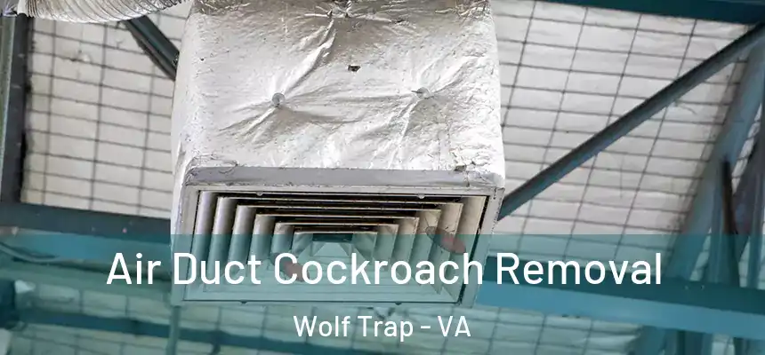  Air Duct Cockroach Removal Wolf Trap - VA