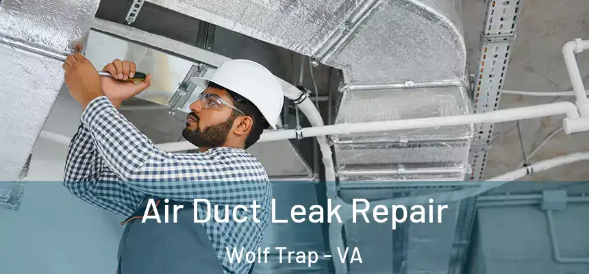  Air Duct Leak Repair Wolf Trap - VA