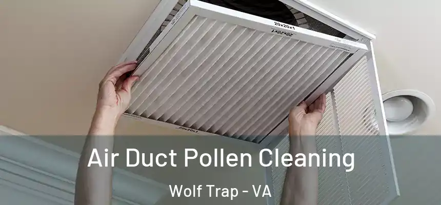  Air Duct Pollen Cleaning Wolf Trap - VA