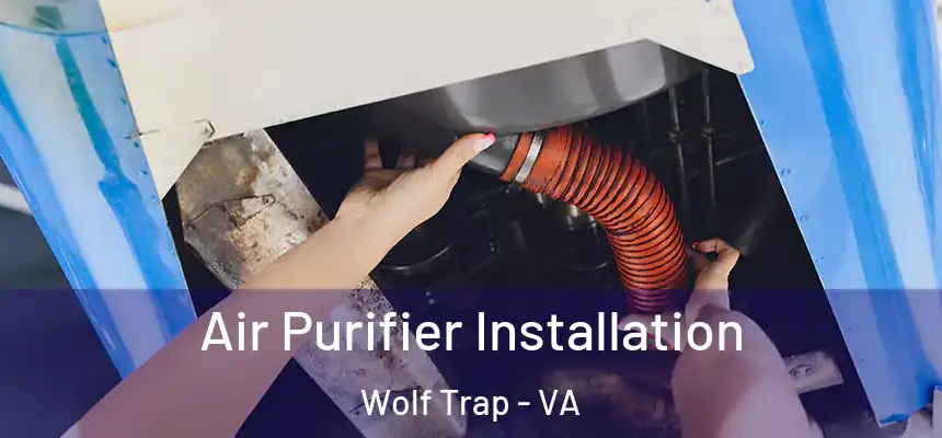  Air Purifier Installation Wolf Trap - VA
