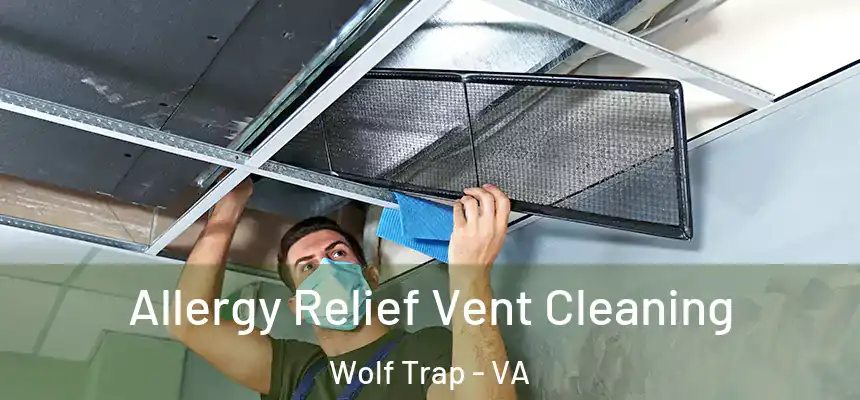 Allergy Relief Vent Cleaning Wolf Trap - VA
