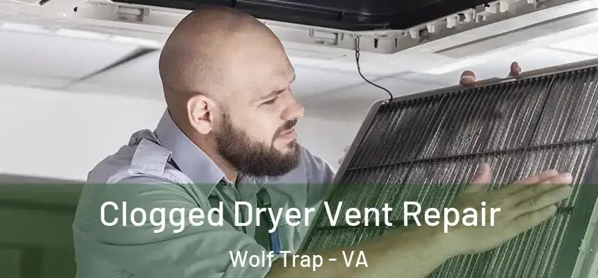  Clogged Dryer Vent Repair Wolf Trap - VA