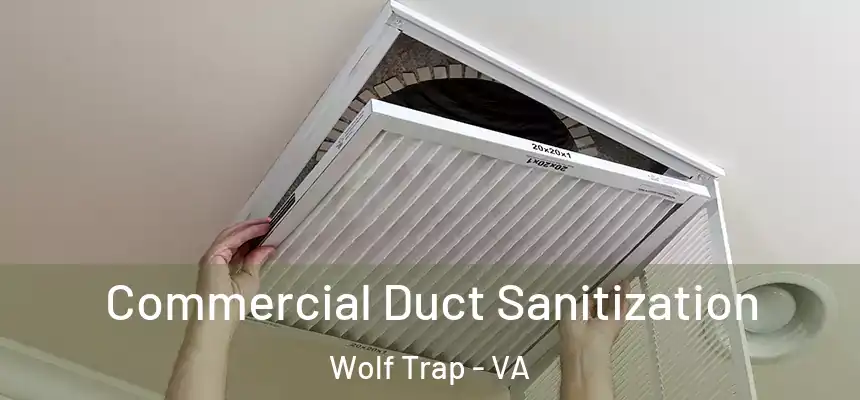 Commercial Duct Sanitization Wolf Trap - VA