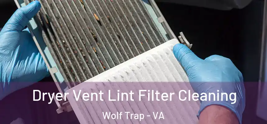  Dryer Vent Lint Filter Cleaning Wolf Trap - VA
