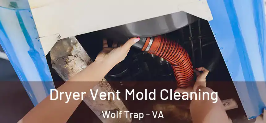  Dryer Vent Mold Cleaning Wolf Trap - VA