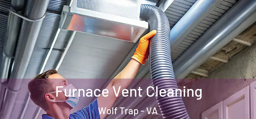 Furnace Vent Cleaning Wolf Trap - VA