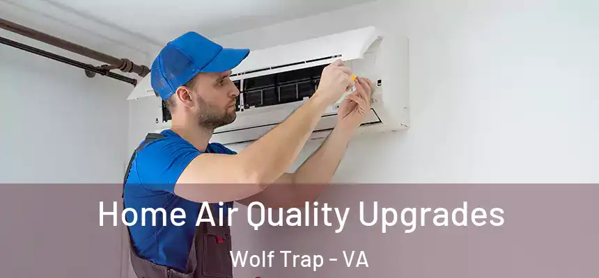  Home Air Quality Upgrades Wolf Trap - VA