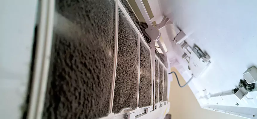 Preventive Air Duct Bacteria Removal in Wolf Trap