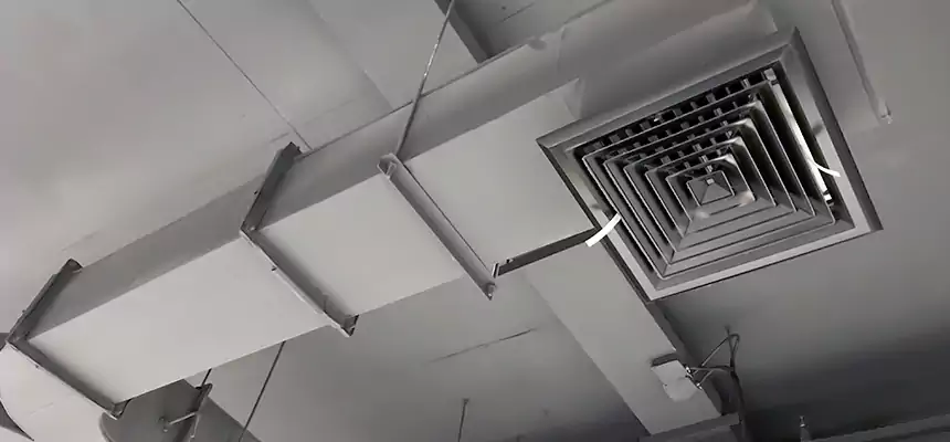 Restorative Allergy Relief Vent Cleaning – Coil, Blower & Housing Detail in Wolf Trap