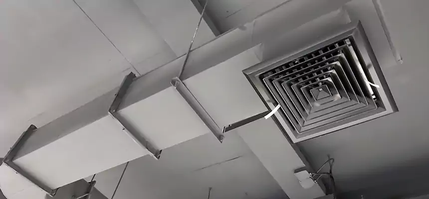 Our Pest Removal From Ducts Services in Wolf Trap, VA