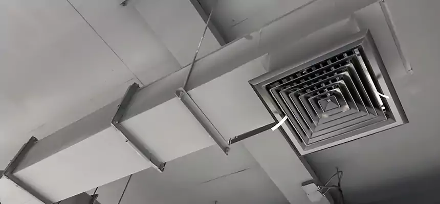 Our Rodent Droppings In Vents Services in Wolf Trap, VA