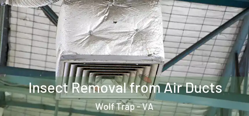  Insect Removal from Air Ducts Wolf Trap - VA
