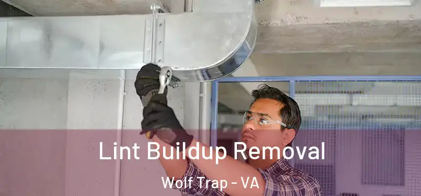 Lint Buildup Removal Wolf Trap - VA