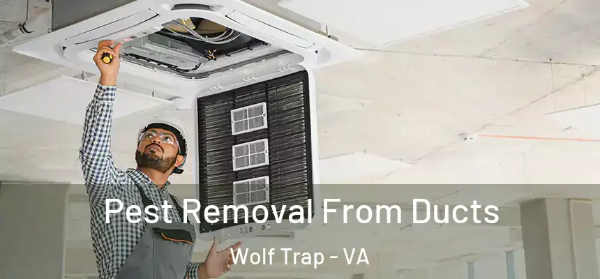  Pest Removal From Ducts Wolf Trap - VA