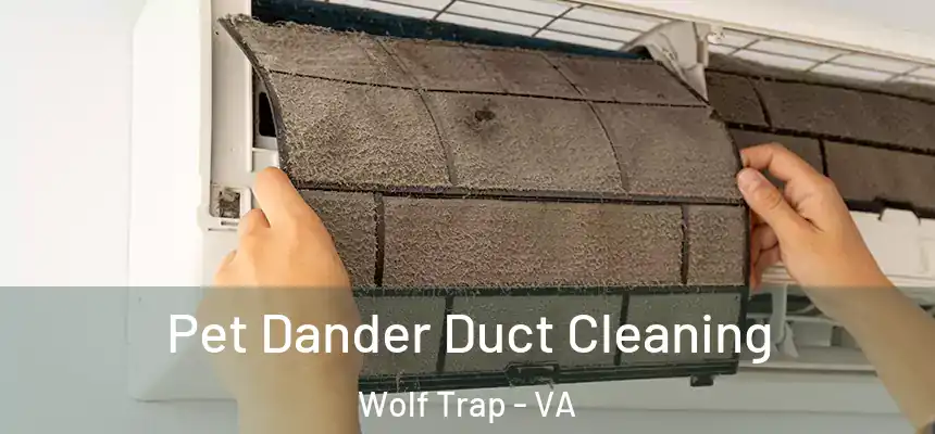 Pet Dander Duct Cleaning Wolf Trap - VA