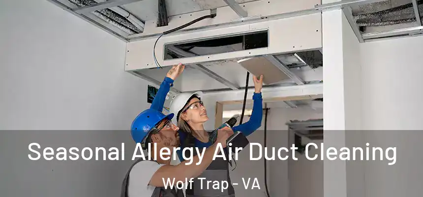 Seasonal Allergy Air Duct Cleaning Wolf Trap - VA