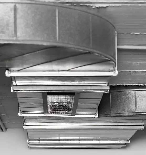 Professional Air Duct Pet Hair Removal in Wolf Trap, VA