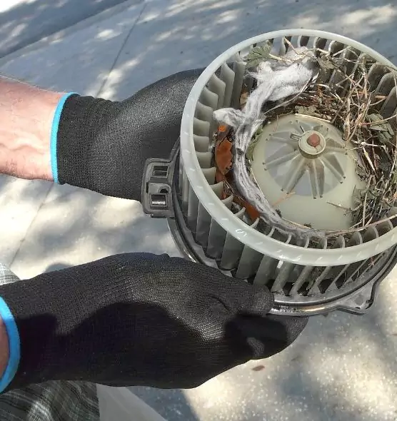 About Air Duct Rat Removal in Wolf Trap, VA