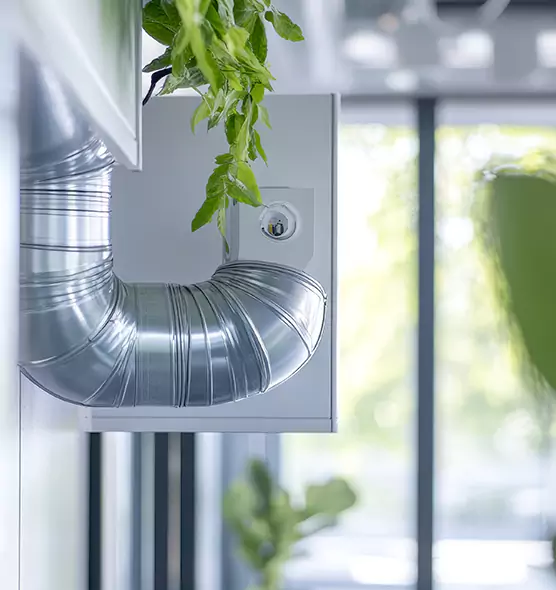 Professional Eco-Safe Dryer Vent Cleaning in Wolf Trap, VA