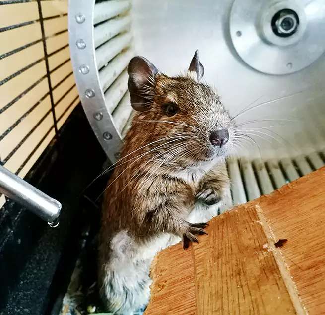 Why Homeowners & Businesses Trust Us Wolf Trap, VA