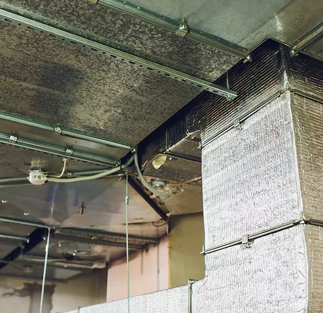 Why Homeowners & Businesses Trust Us in Wolf Trap, VA?