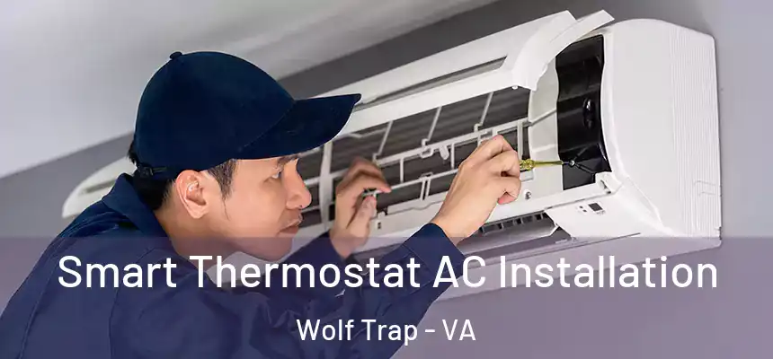 Smart Thermostat AC Installation Wolf Trap - VA