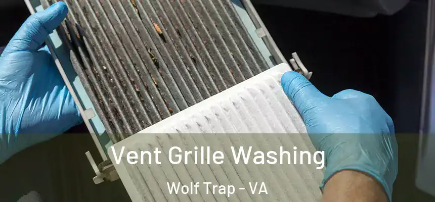 Vent Grille Washing Wolf Trap - VA