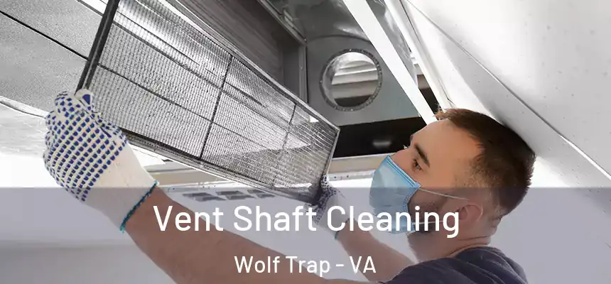 Vent Shaft Cleaning Wolf Trap - VA
