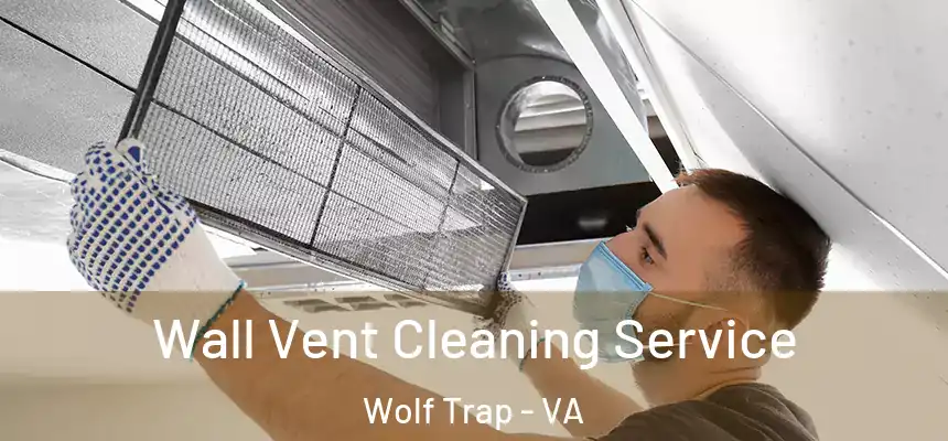  Wall Vent Cleaning Service Wolf Trap - VA